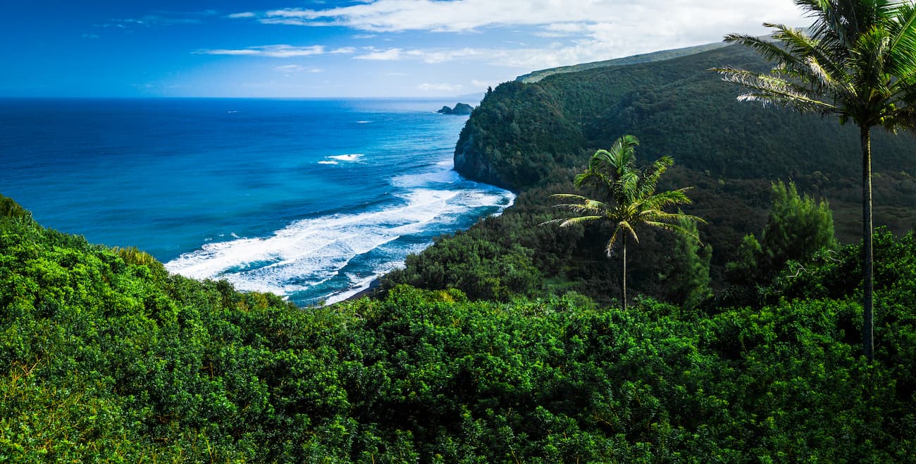 northern hawaii