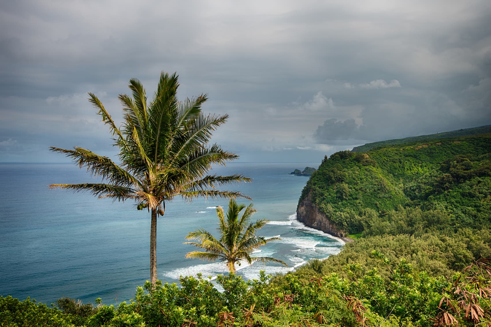 Pololu valley