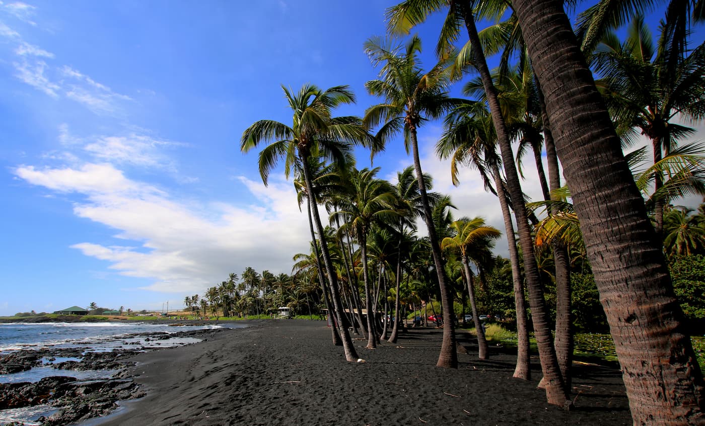 Punalu'u Black Sand Beach