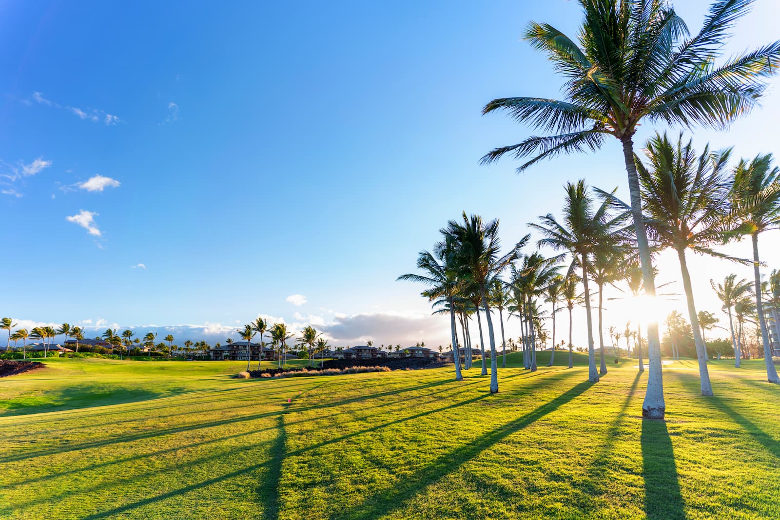 Waikoloa Beach Resort Golf