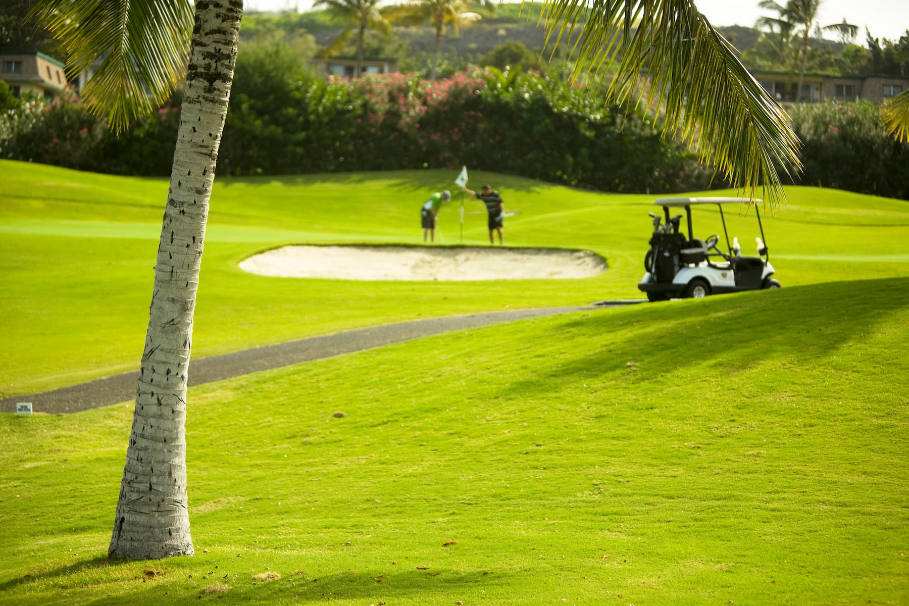 golfing in hawaii